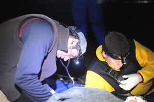 Wilderness First Responder (WFR) students learn valuable skills like assessing and monitoring patients' vital signs.