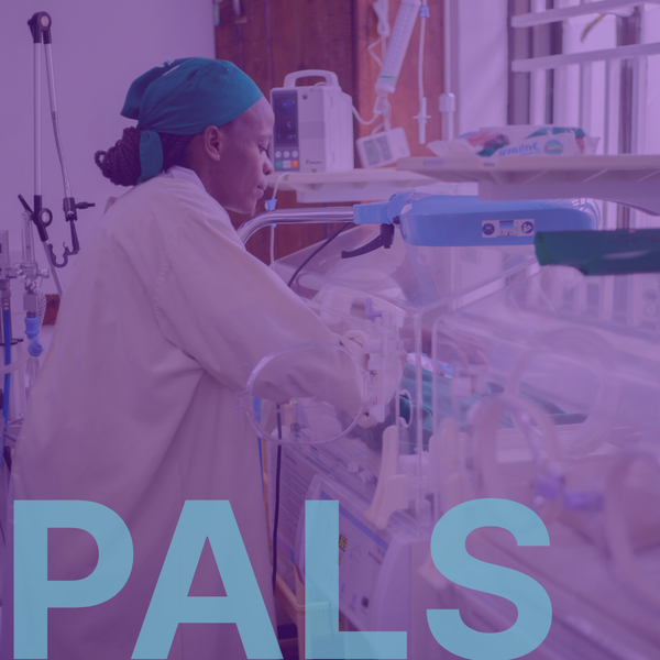 2026/01/08 | PEDIATRIC ADVANCED LIFE SUPPORT (PALS)