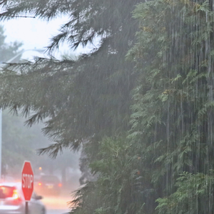 Flooding in Whatcom and Skagit: Staying Informed and Safe