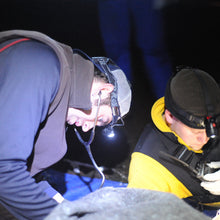 Load image into Gallery viewer, Wilderness First Responder (WFR) students learn valuable skills like assessing and monitoring patients&#39; vital signs. 